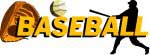 Florida Professional Baseball MLB