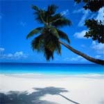 Florida Beaches