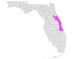 Central East Florida Beaches