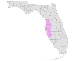 Central West Florida