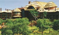 Disney's Animal Kingdom Villas  Jambo House