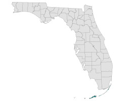 Florida Keys Beaches