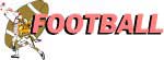 Florida Professional Football NFL