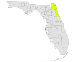 North East Florida Beaches