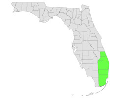 South East Florida Beaches