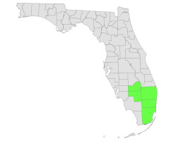 South East Florida