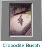 Busch Gardens Crocodile