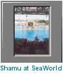 Shamu at SeaWorld