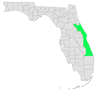 Central East Coast of Florida