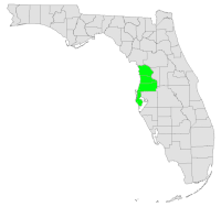 Central West Florida Beaches