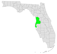 West Central Florida Beaches