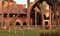 Disney's Animal Kingdom Villas - Kidani Village