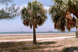 Fort Desoto