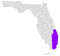 South East Florida Beaches
